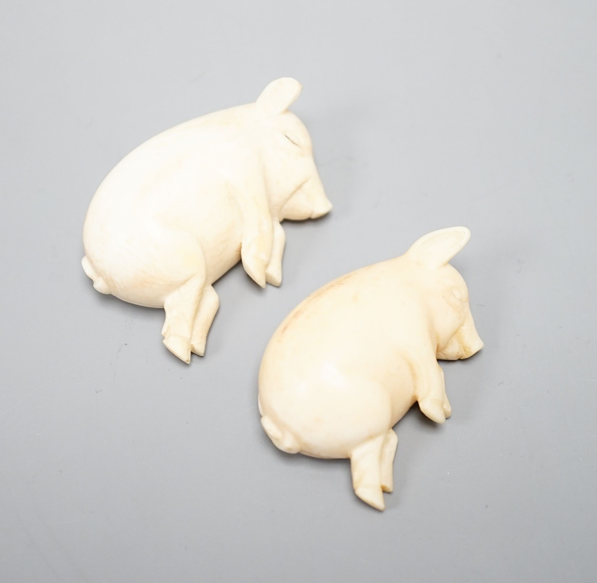 Two ivory sleeping pigs., 5 cms wide